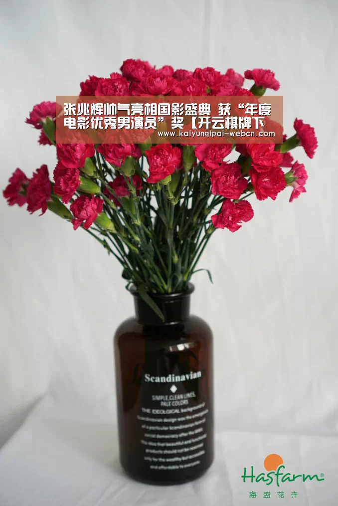 张兆辉帅气亮相国影盛典 获“年度电影优秀男演员”奖【开云棋牌下载】