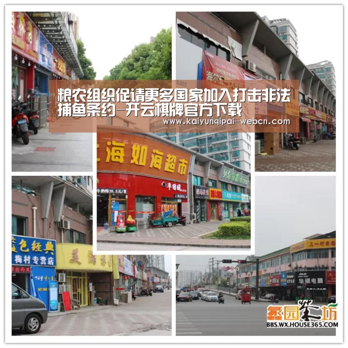 粮农组织促请更多国家加入打击非法捕鱼条约-开云棋牌官方下载
