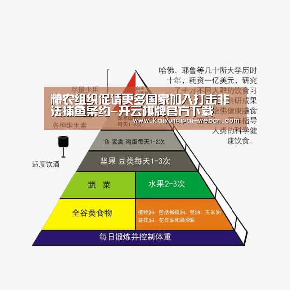 开云棋牌入口