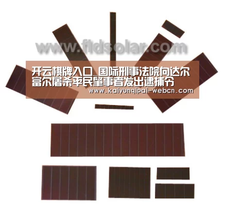 开云棋牌入口_国际刑事法院向达尔富尔屠杀平民肇事者发出逮捕令